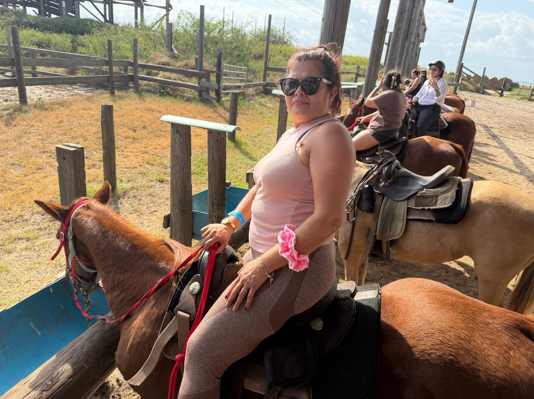 South Padre Island Adventure Park-南帕诸岛必去景点