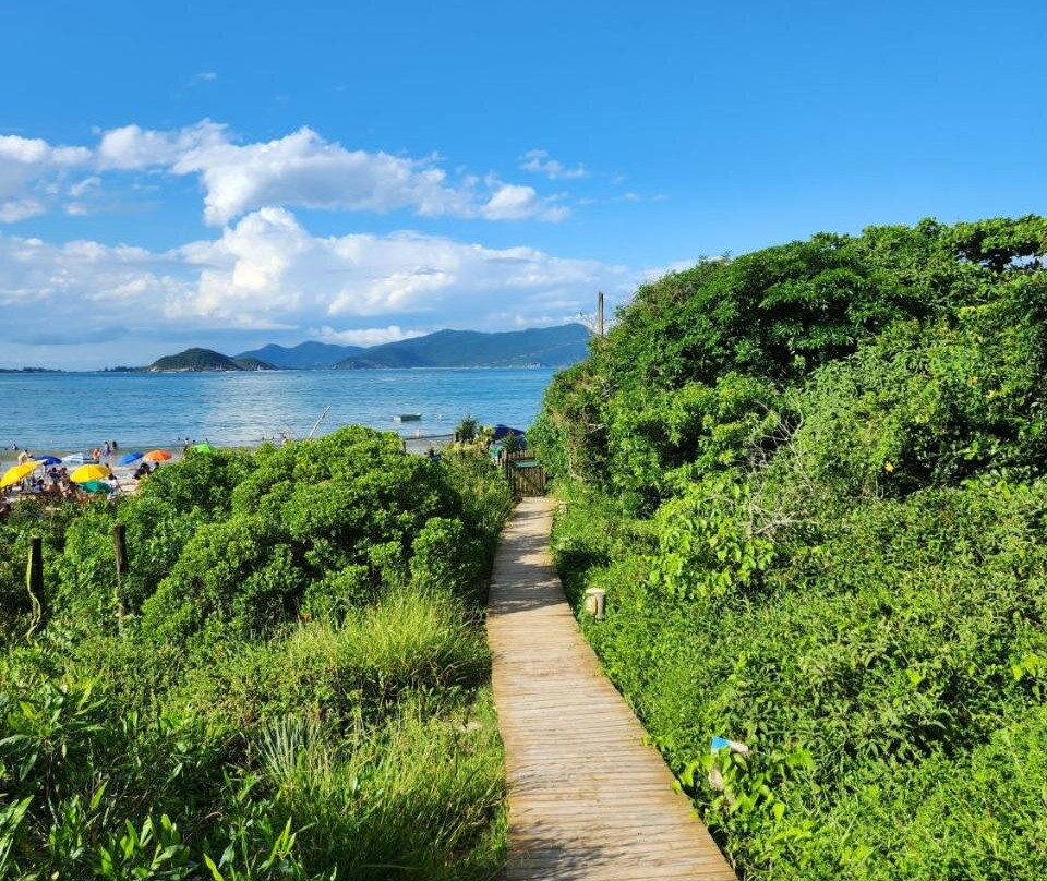 Ponta do Papagaio酒店住宿-Pousada Arcadia Pinheira