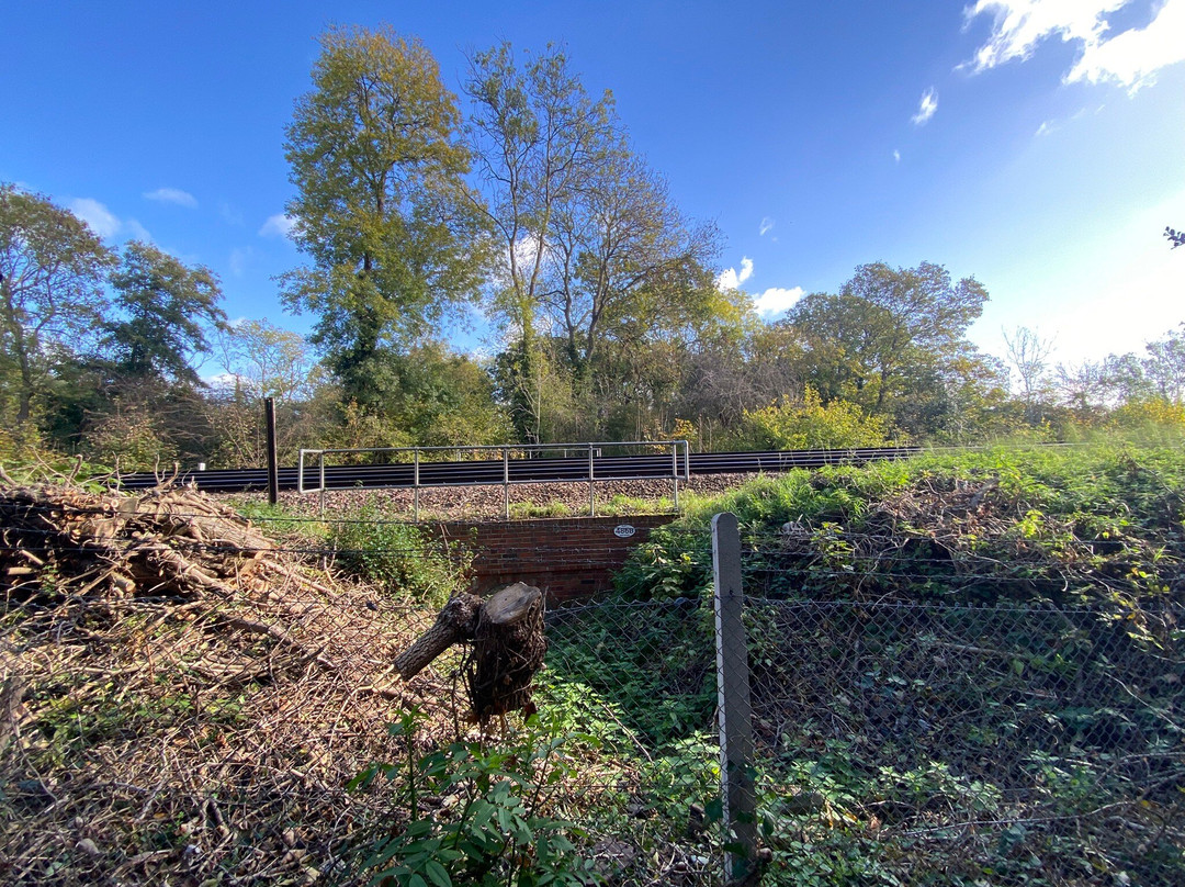 百肯翰姆普勒斯-贝肯汉姆必去景点