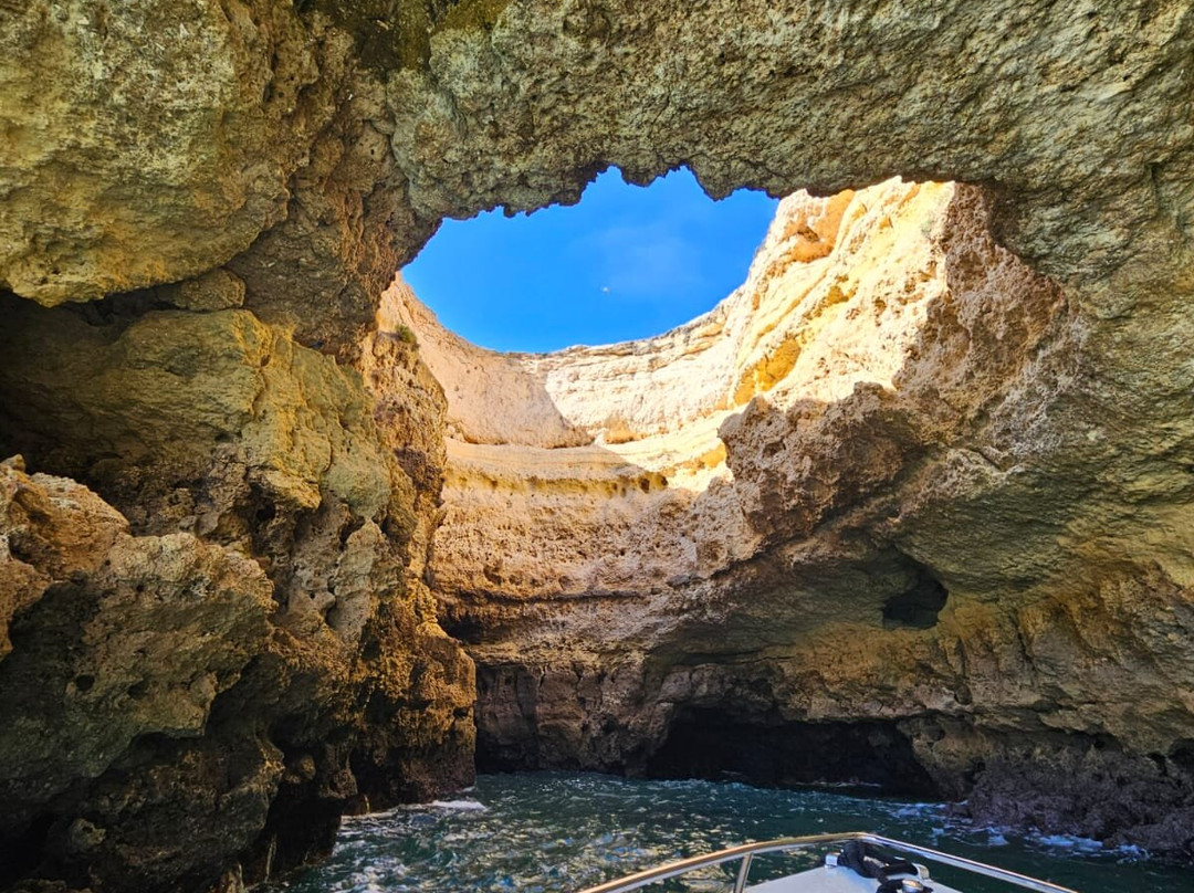 Tridente Boat Trips-阿玛考德佩拉必去景点