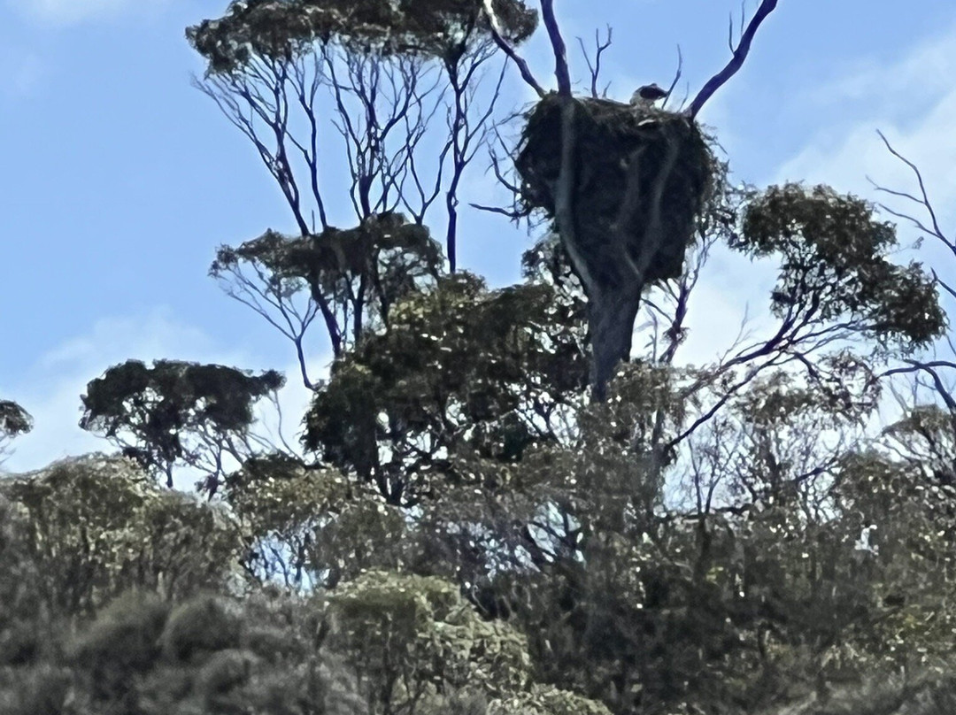 Wineglass Bay-科尔斯湾必去景点