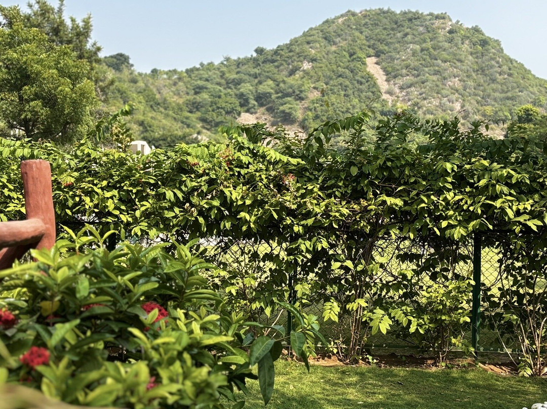 Bamboo Saa Sunrrise Weddings & Wellness Resort Jaipur主图