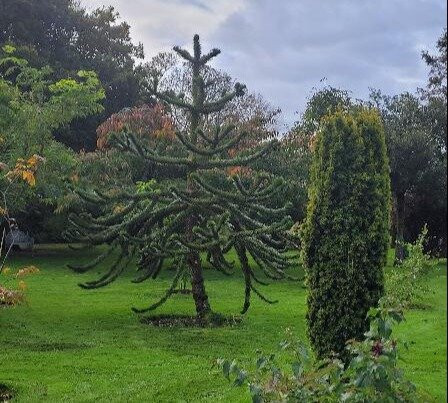 Vandeleur Walled Garden & Visitor Centre-Kilrush必去景点