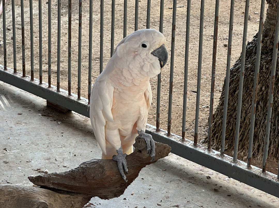 Philip's Animal Garden-Noord必去景点