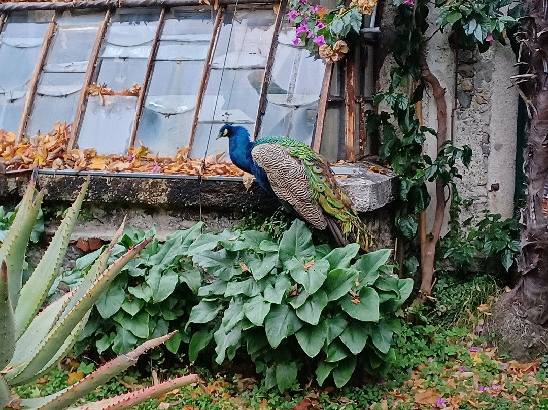 Park Pallavicino-斯特雷萨必去景点