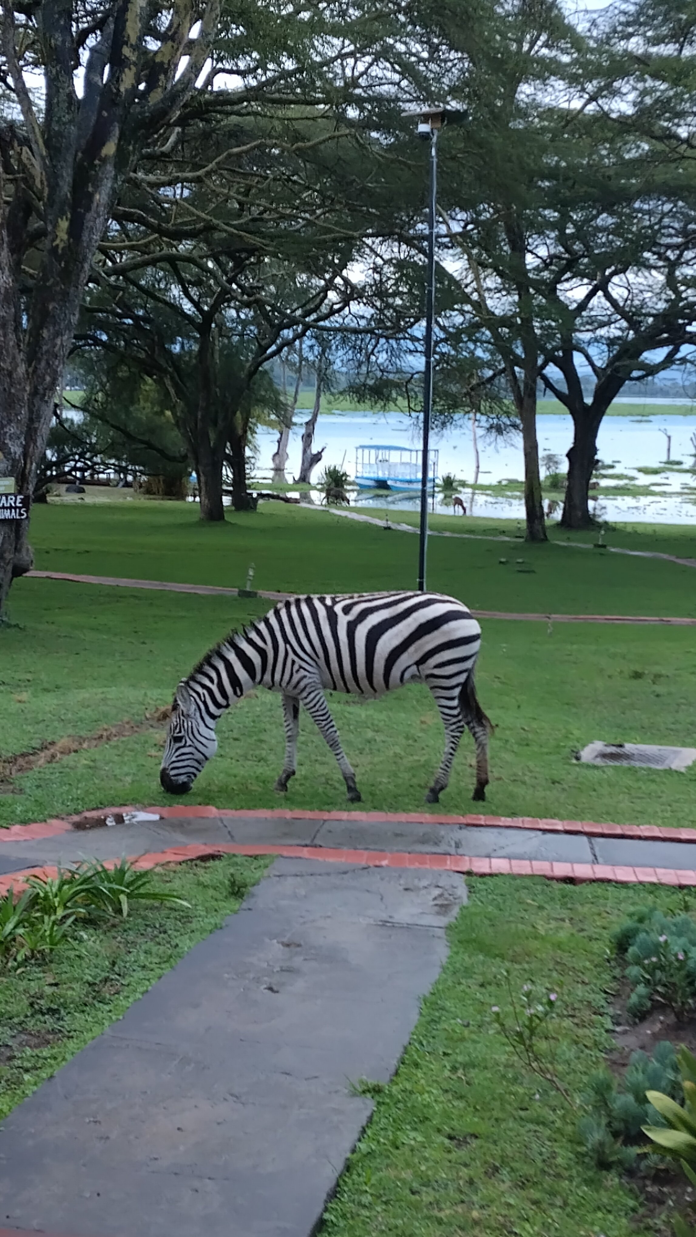 纳瓦沙湖乡村俱乐部-官方