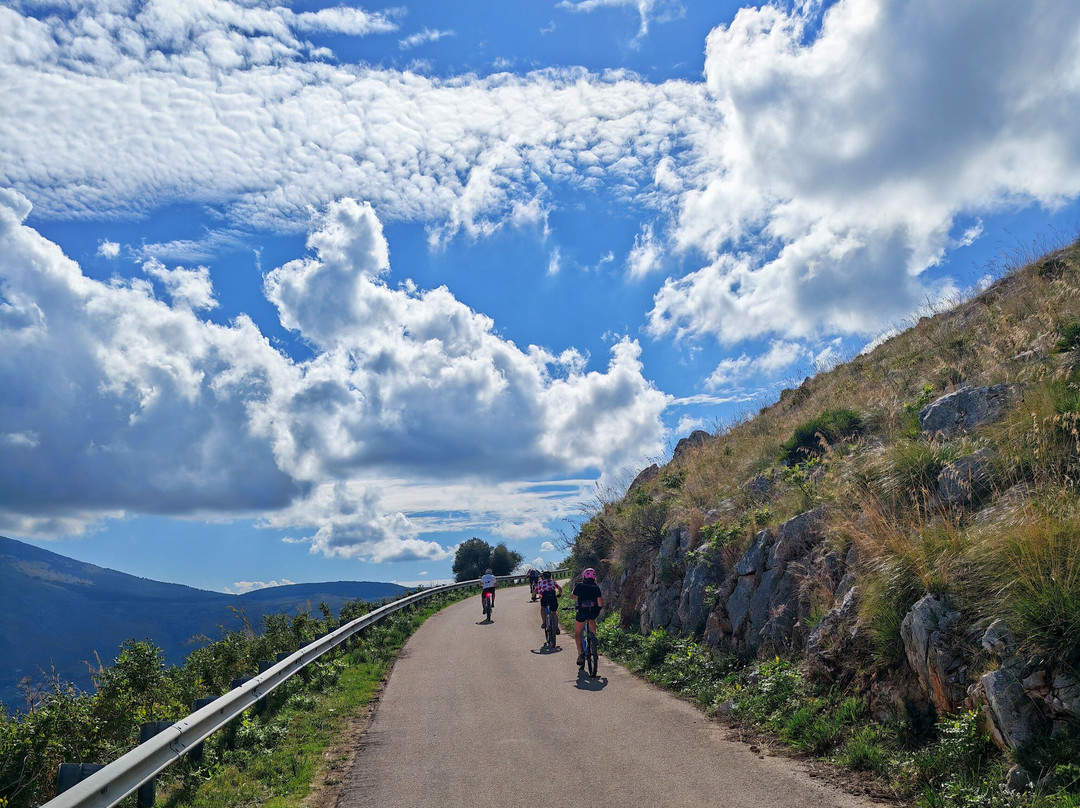 Smile & Ride-比萨必去景点