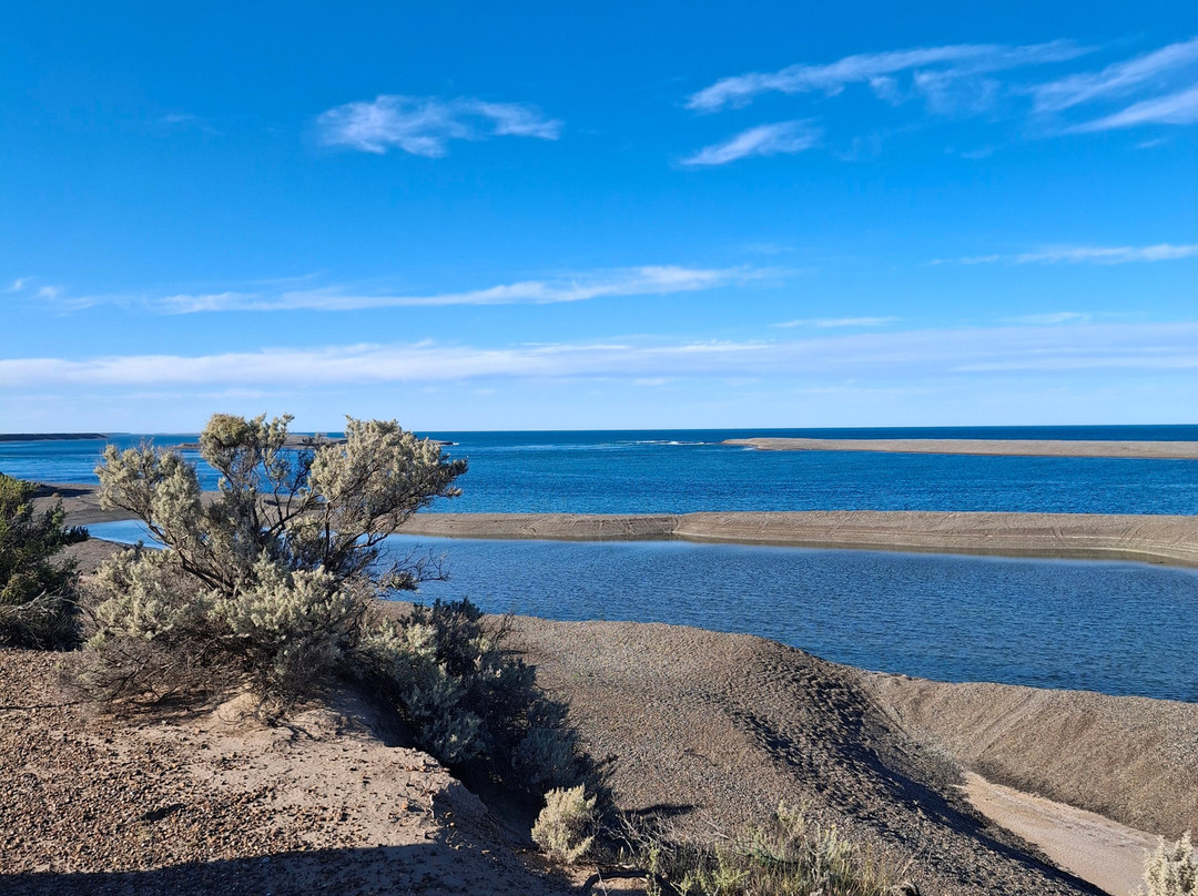 Caleta Valdes-Puerto Piramides必去景点