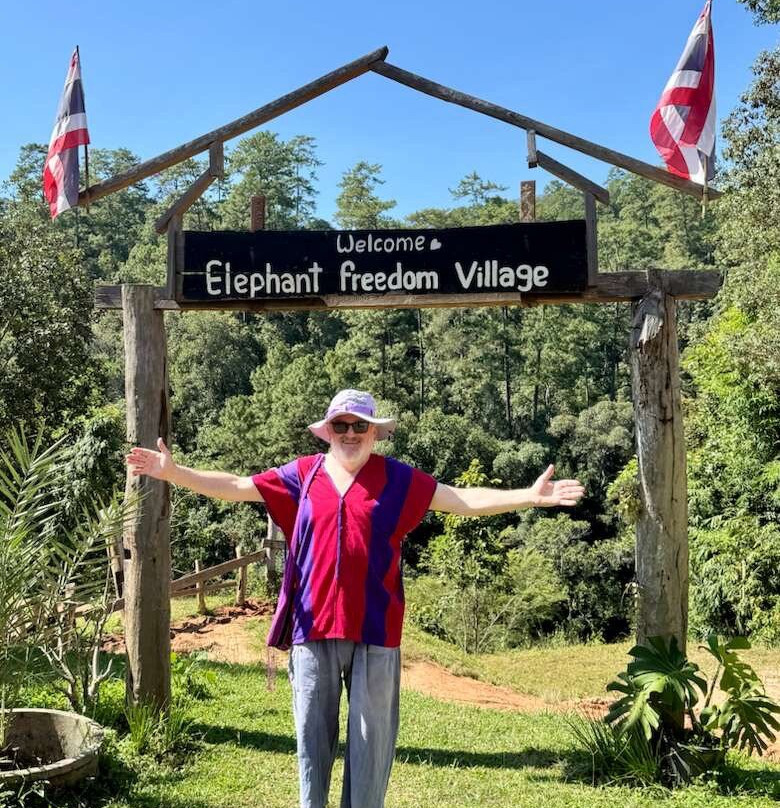 Elephant Freedom Village-清迈必去景点
