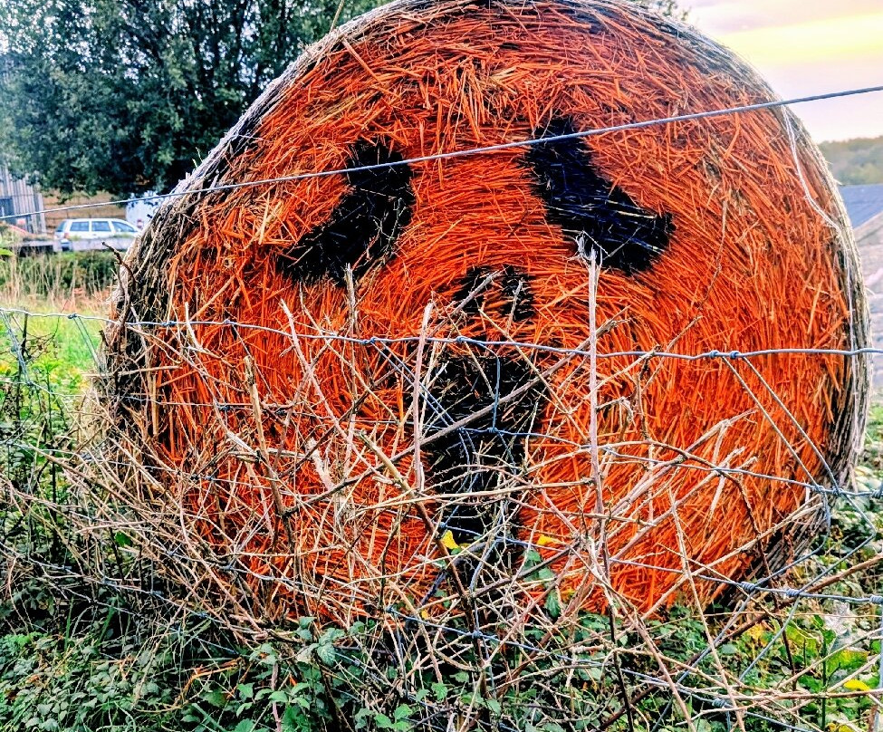 Buckmoorend Farm Shop-艾尔斯伯里必去景点