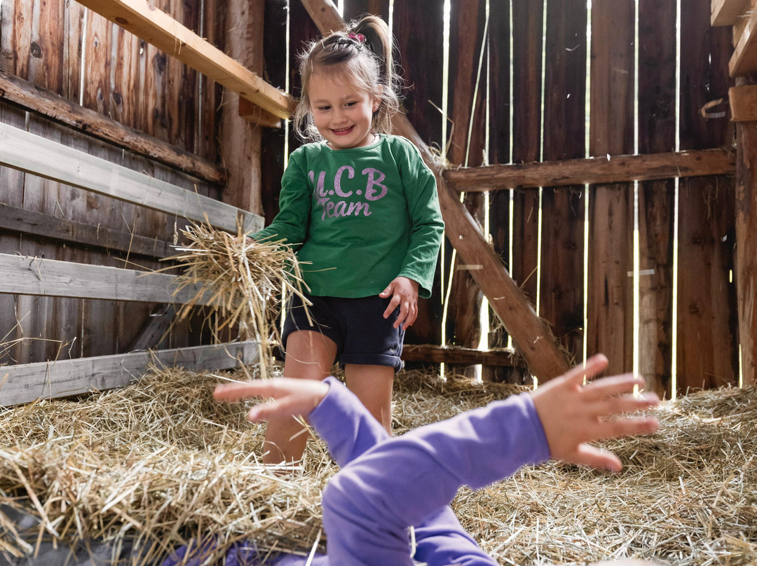 Family Resort Rainer主图