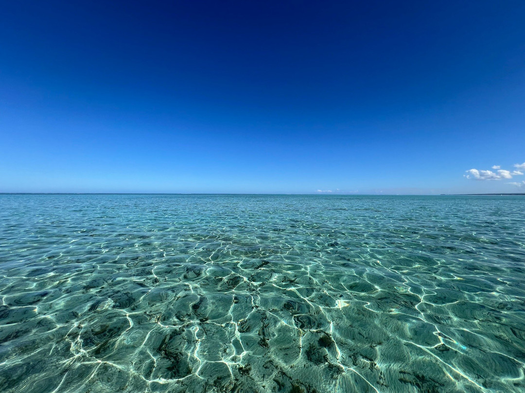 Vitamin Sea-黑河必去景点