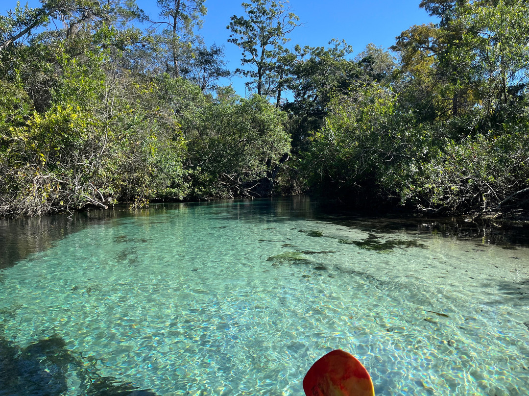 Weeki Wachee Springs-Weeki Wachee必去景点