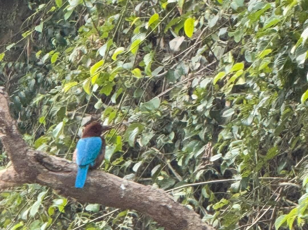 Jungle Expert Treks and Tours-Ratnanagar必去景点