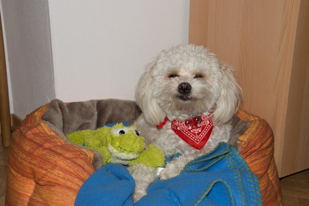 Europa Therme Bad Fussing-Bad Fussing必去景点