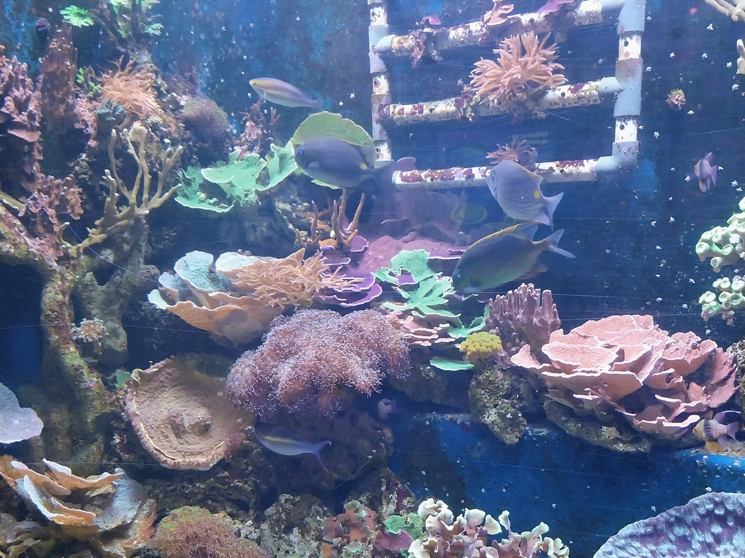 SEA LIFE Konstanz-康士坦茨必去景点