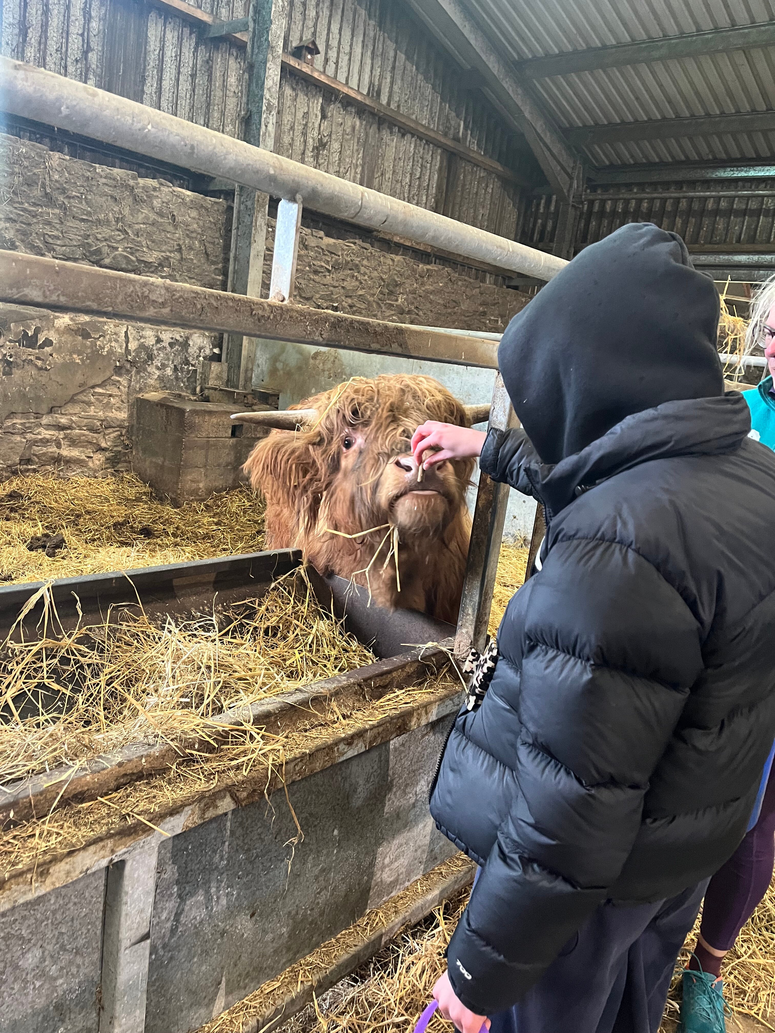 Newton Farm Holidays & Tours-官方