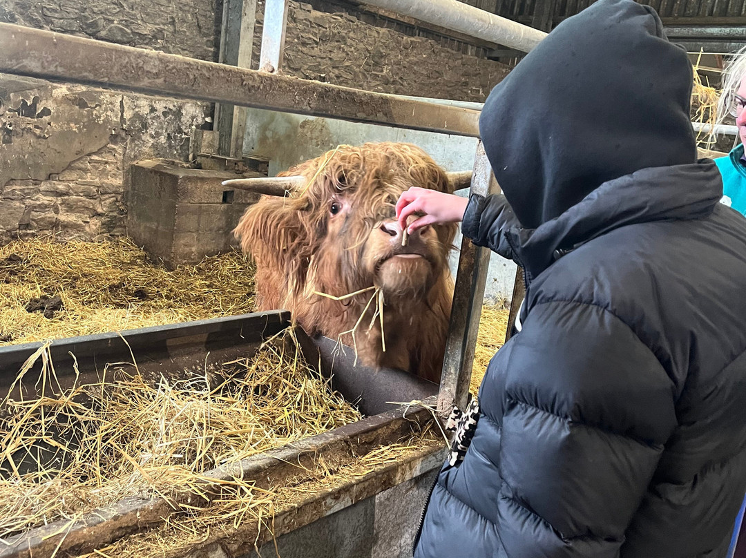 Newton Farm Holidays & Tours主图