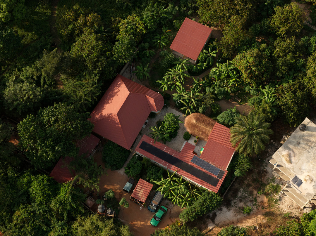Senegambia Birding-Mandinari必去景点
