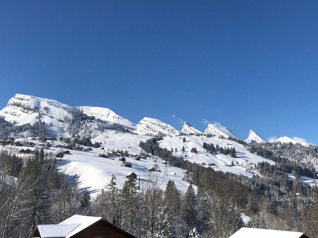 Schwagalp酒店住宿-Hotel Restaurant Schonau