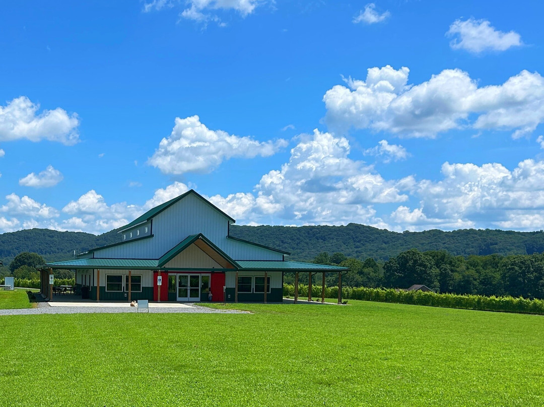 Castello Barone Vineyards And Winery-Ronda必去景点