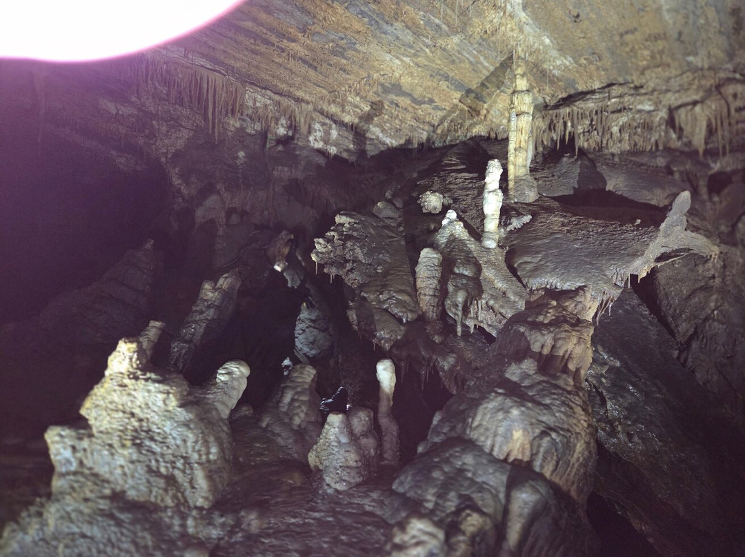 Gunns Plains Caves-Gunns Plains必去景点