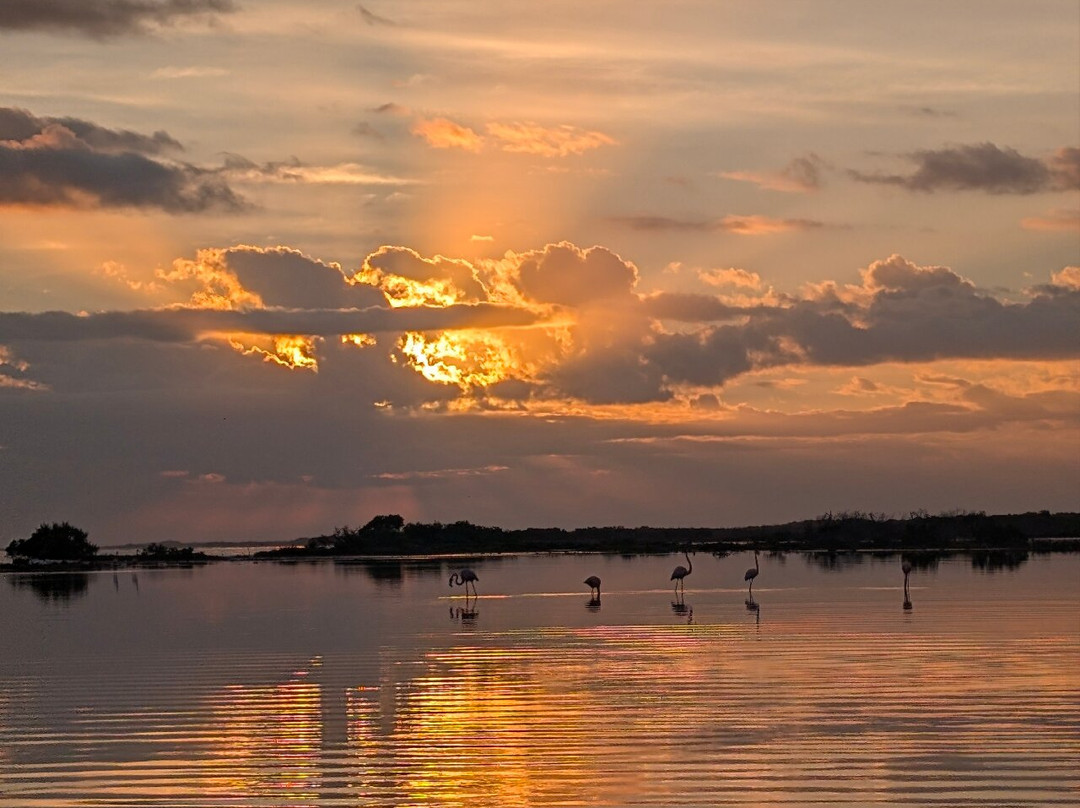 Boat Trip Rio Lagartos-里奥拉加托斯必去景点