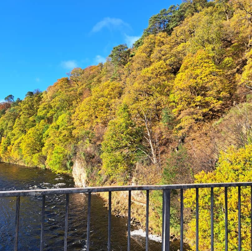 Rothiemurchus-阿维莫尔必去景点