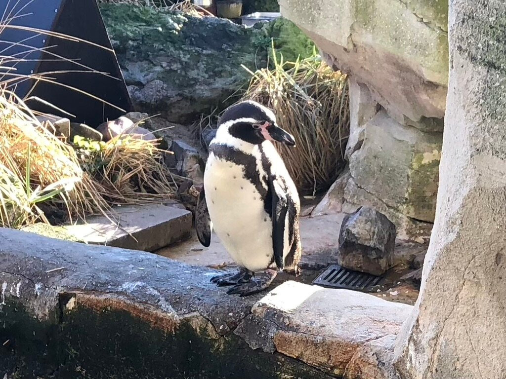 Zoo am Meer-不来梅港必去景点