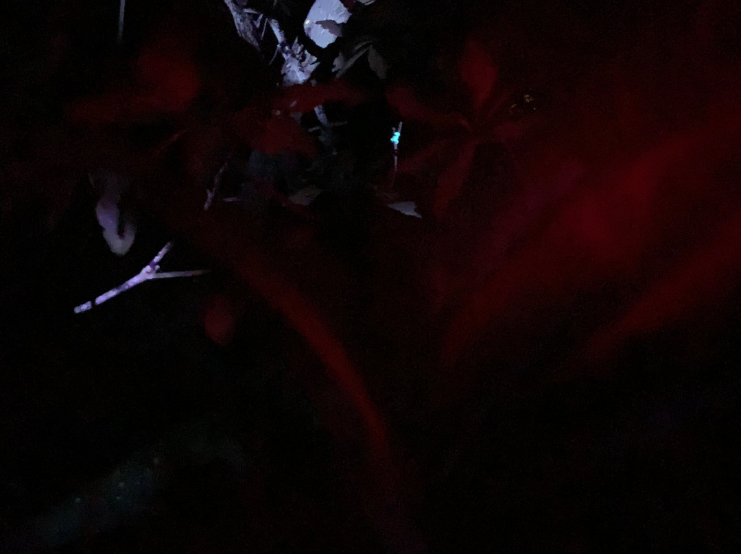 BioIsland-Cabezas必去景点