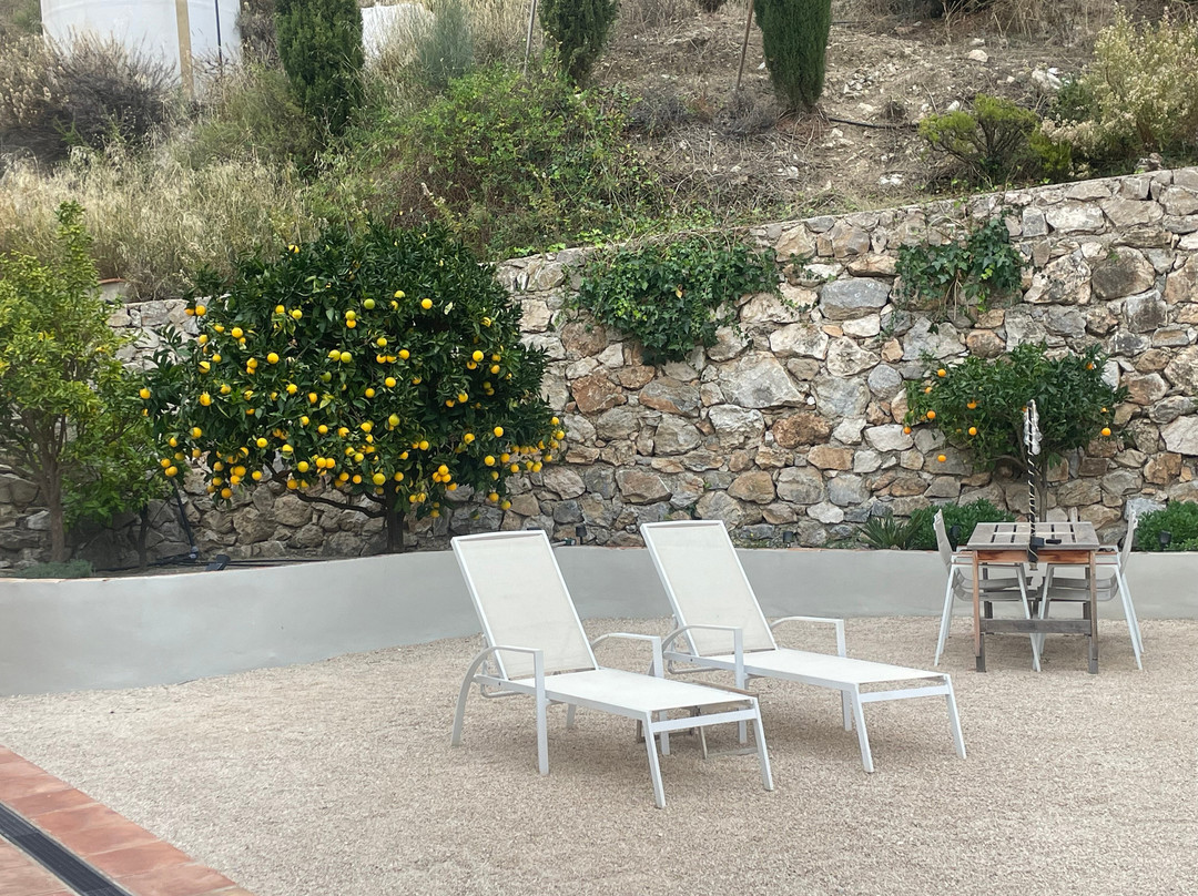 Boutique B&B El Refugio主图