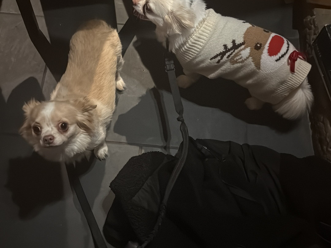 Seth's Bar-Cockermouth必去景点