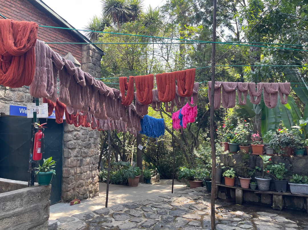 Sabahar-亚的斯亚贝巴必去景点