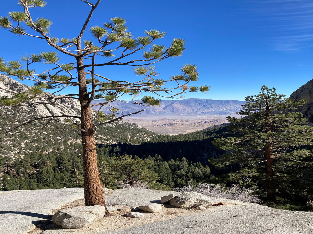 Mount Whitney Trail-隆派恩必去景点
