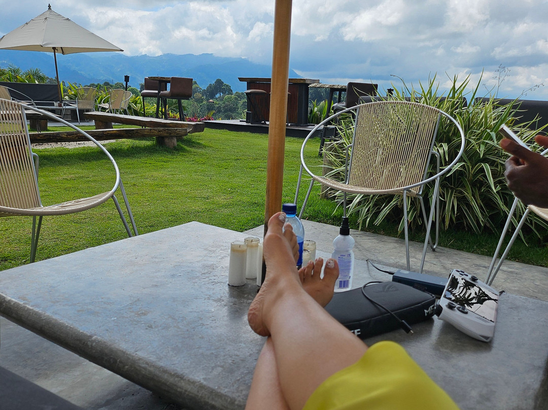 Bio Habitat Hotel主图