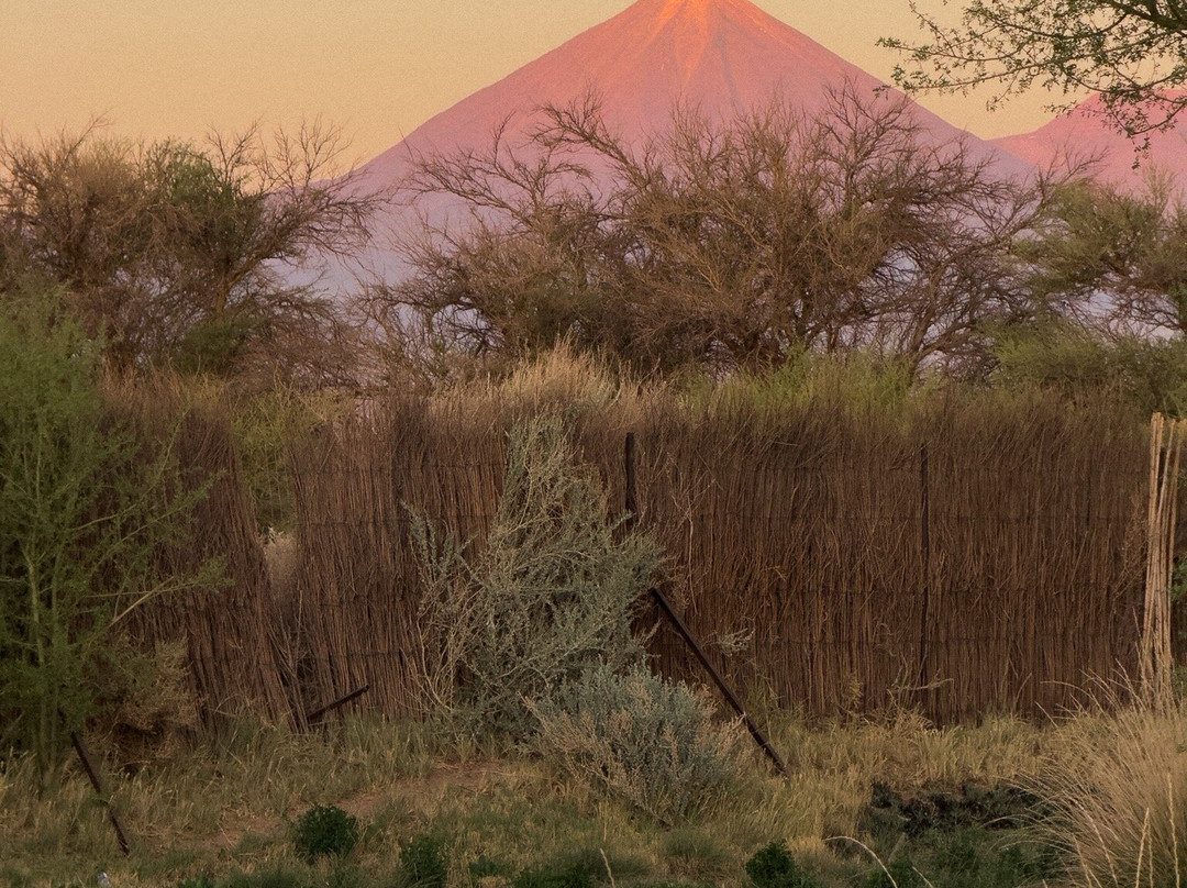 Sami Atacama Lodge主图