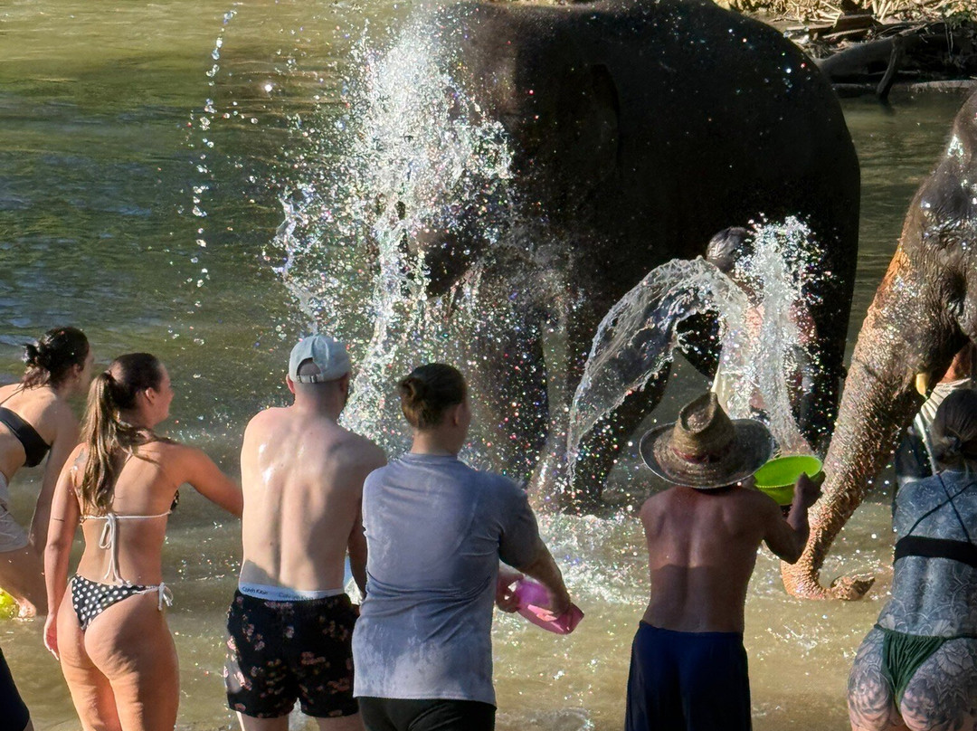 Pon Elephant Thailand-清迈必去景点