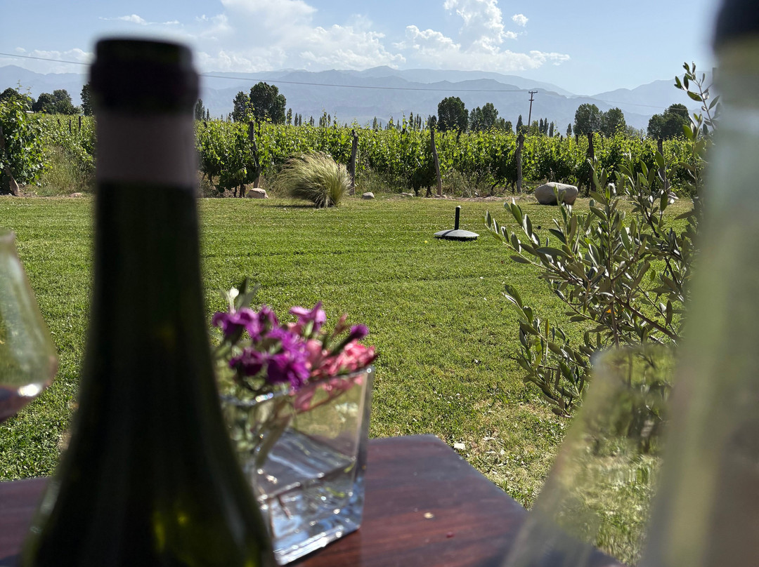 Cundo Altamira-La Consulta必去景点