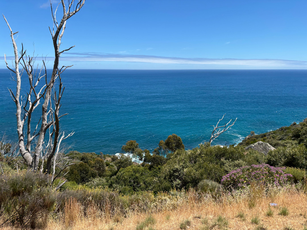 Victoria Road (M6)-木湾必去景点