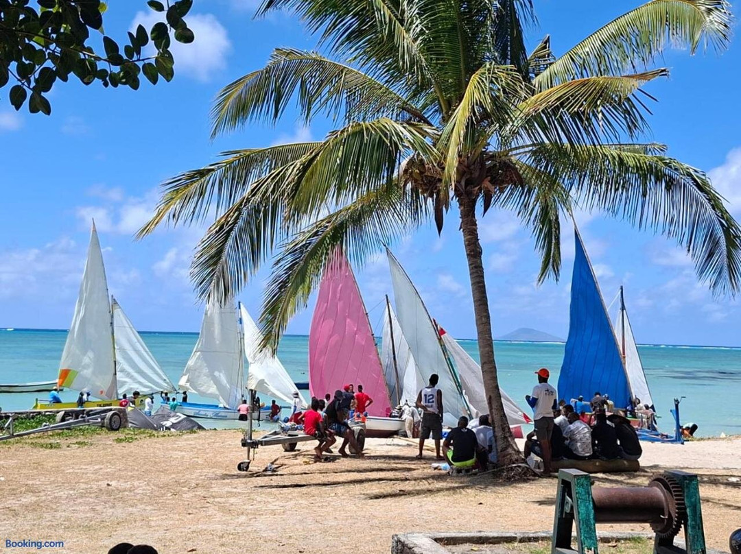 Whynot Mauritius