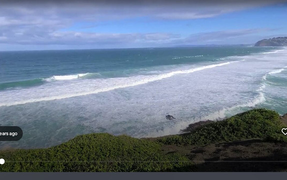 Port To Port Cruises and Wildife Tours-Port Chalmers必去景点