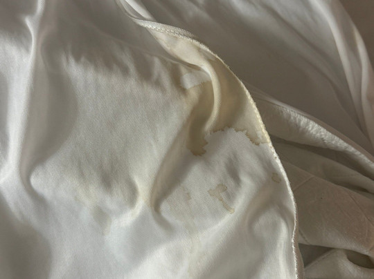 Best Western Brady Inn主图