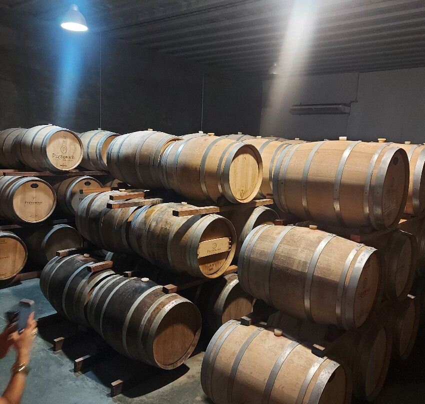 Pizzorno Family Estates-Canelones必去景点