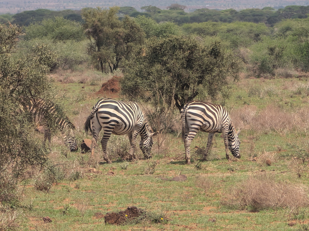 Bienvenido Kenya Tours and Safaris-山祖必去景点