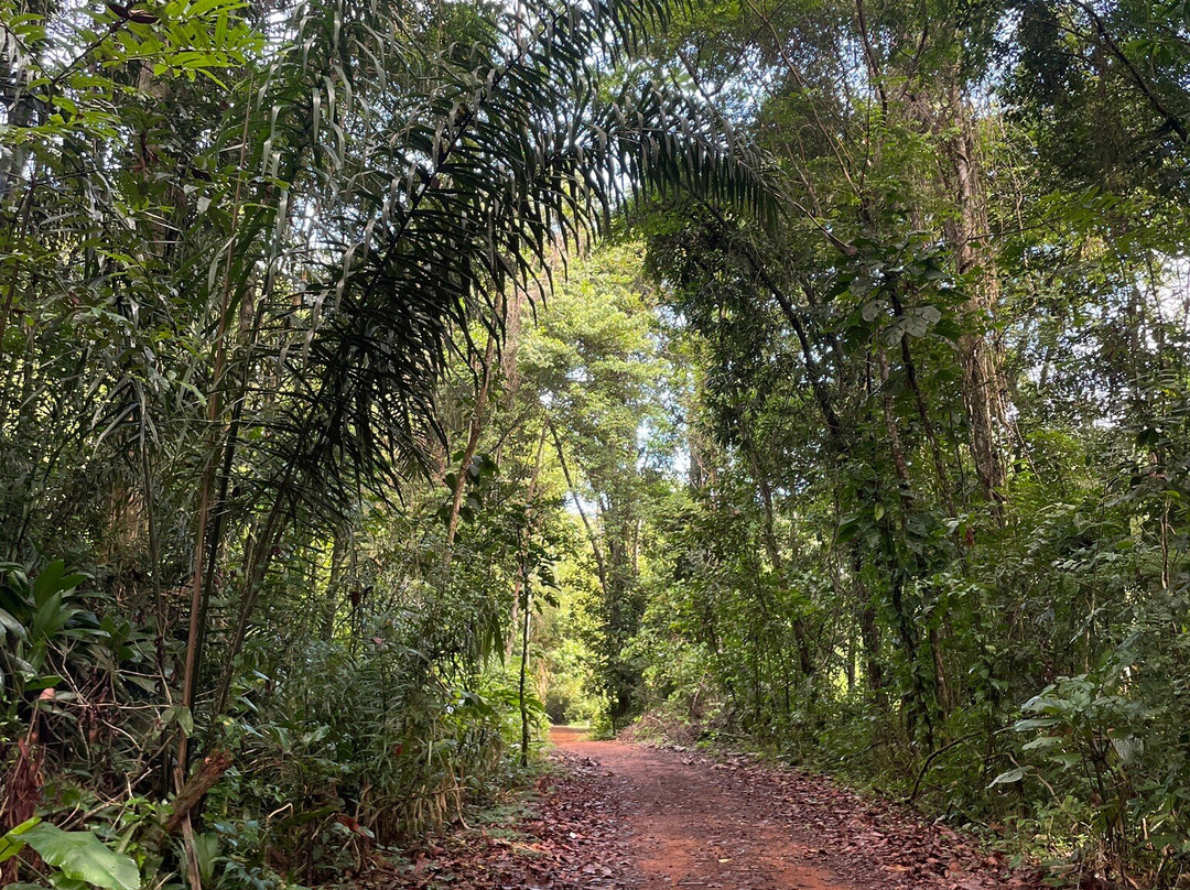 Sentier du Rorota-Remire-Montjoly必去景点