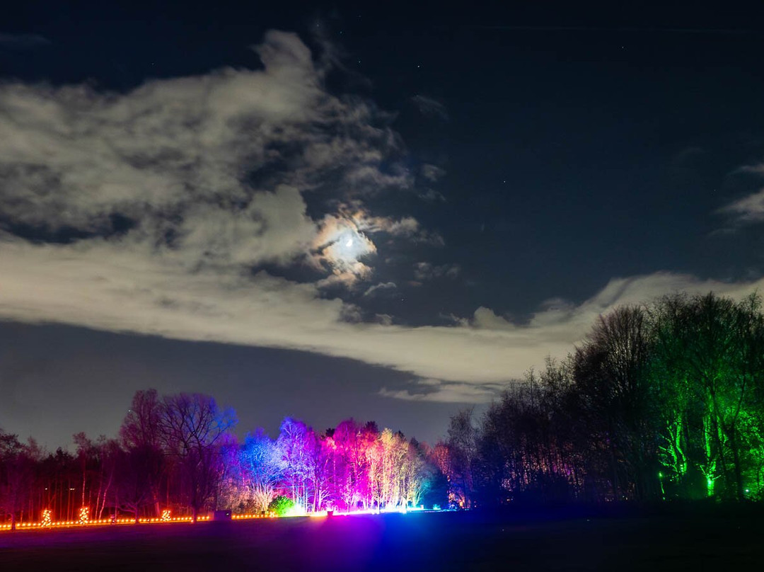 Northern Lights Activity Park-Zverosovkhoz必去景点