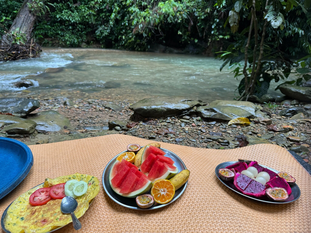 Trekking Orangutan Sumatra-武吉拉旺必去景点