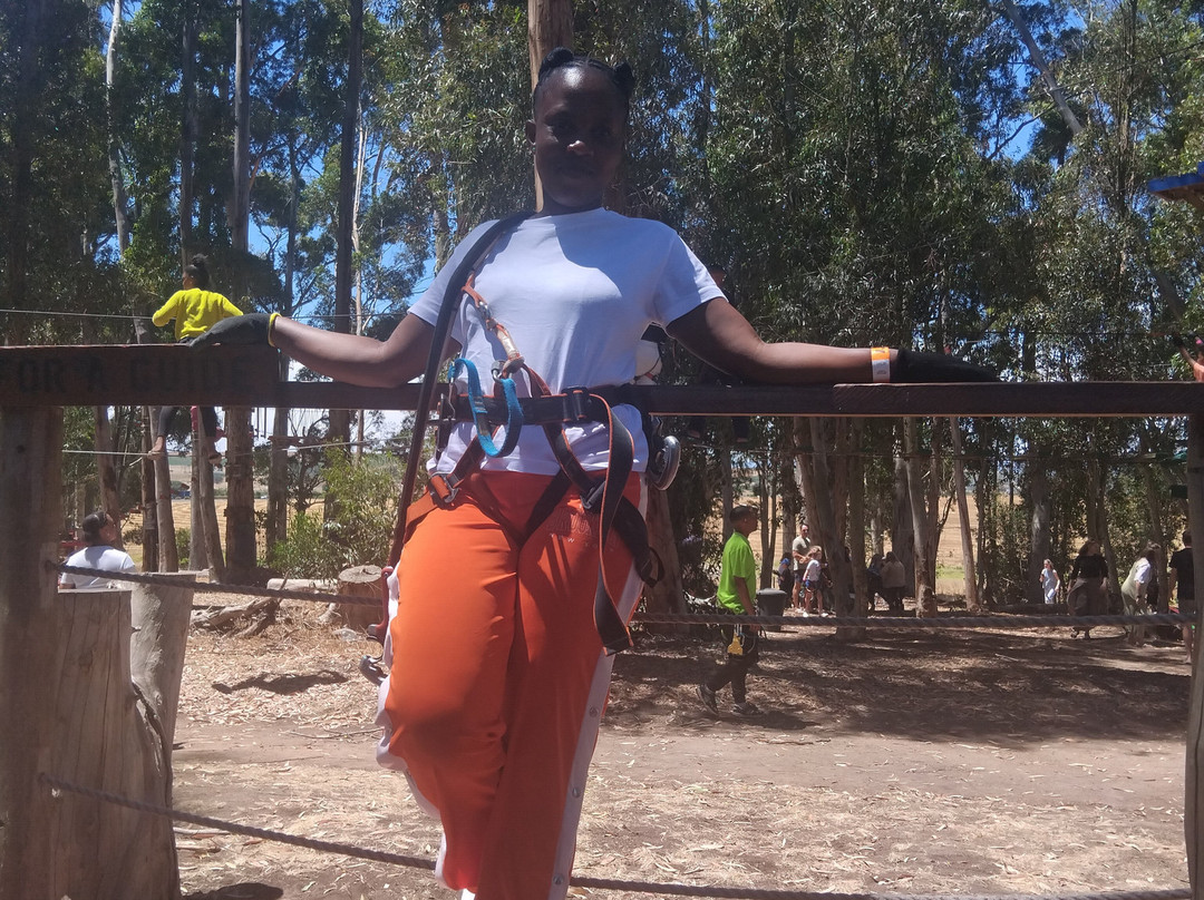 Acrobranch Stellenbosch-斯泰伦博斯必去景点