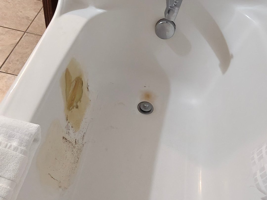 Comfort Inn & Suites Lumberton Central I-95主图