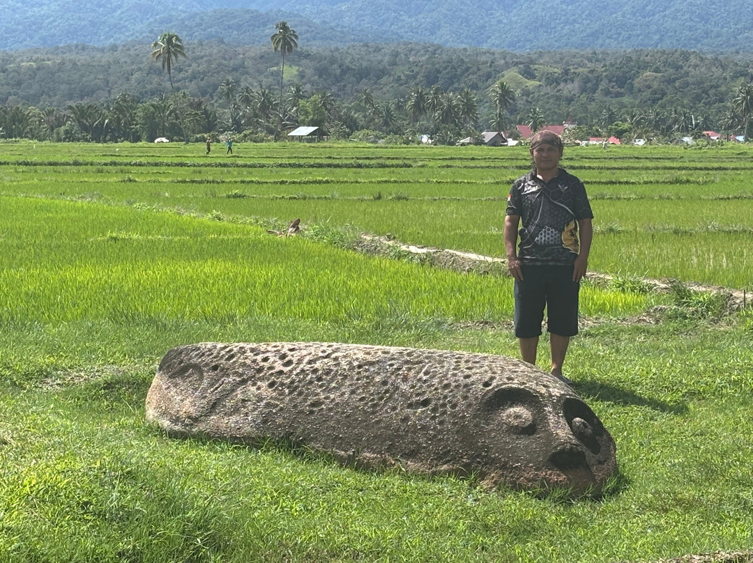 Tentena wildlife tour and Lorelindu national park-Tentena必去景点